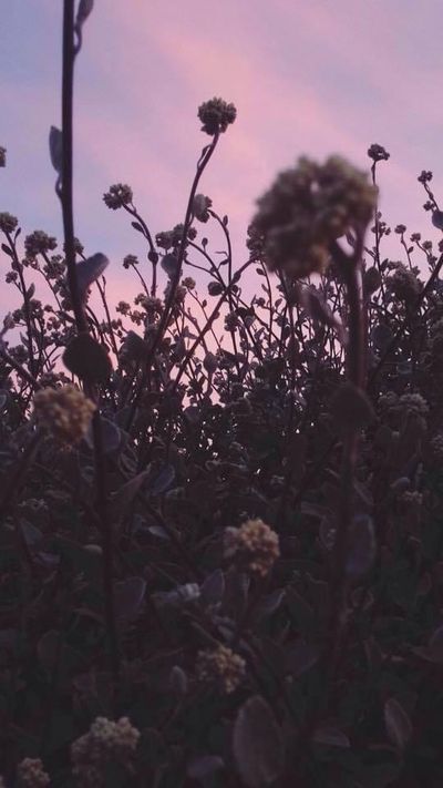 maritzaalvec thumbnail