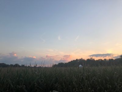 madequestrian thumbnail