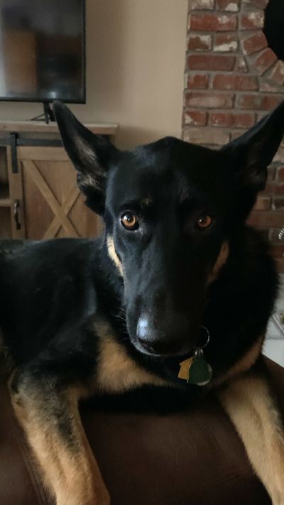 farmgrownfishin profile