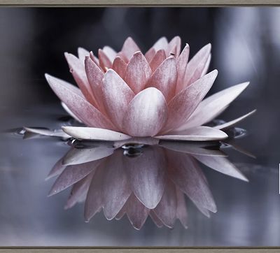 yurbae.y2k thumbnail