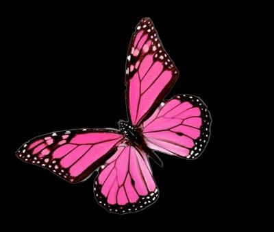 prettybitchxo profile