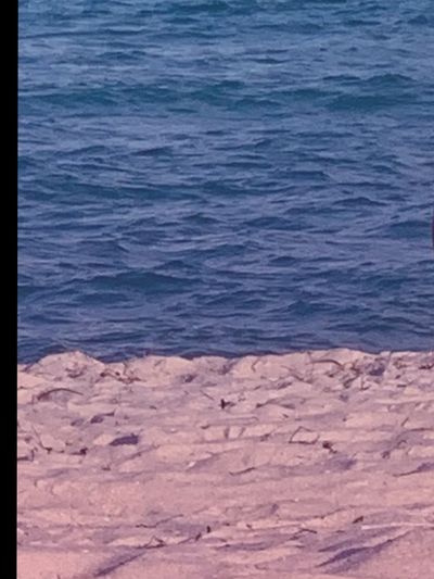 dylanorchidxxx thumbnail