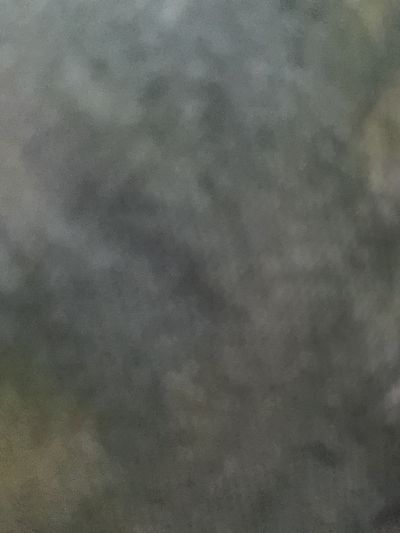 royalty2322 thumbnail