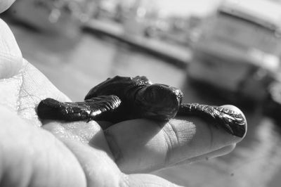 u113824354 thumbnail