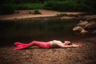 honeylimbed thumbnail