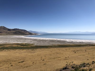 crumblez85 thumbnail