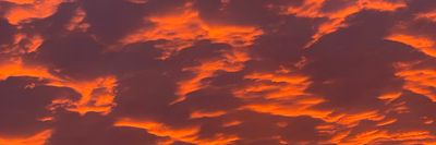 damndaniels thumbnail