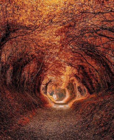 u187489798 thumbnail