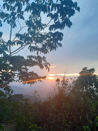 fotosmanospies thumbnail