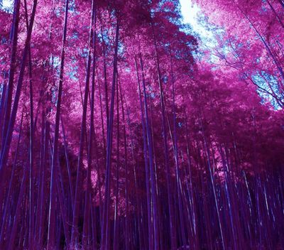 freakymasi8300 thumbnail