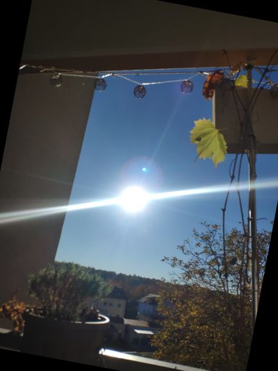 thenakedyogi144 thumbnail