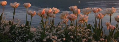 littleinkedbabyy thumbnail