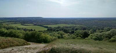 Camping Will thumbnail