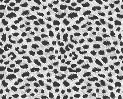 gimmie_mor thumbnail