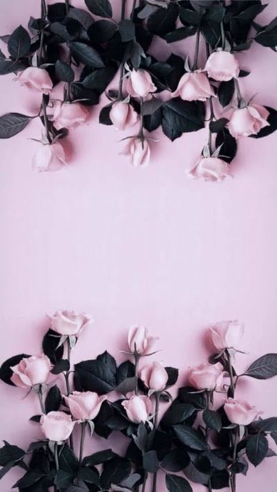 cameronlawrence thumbnail