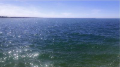 renee_diaz thumbnail