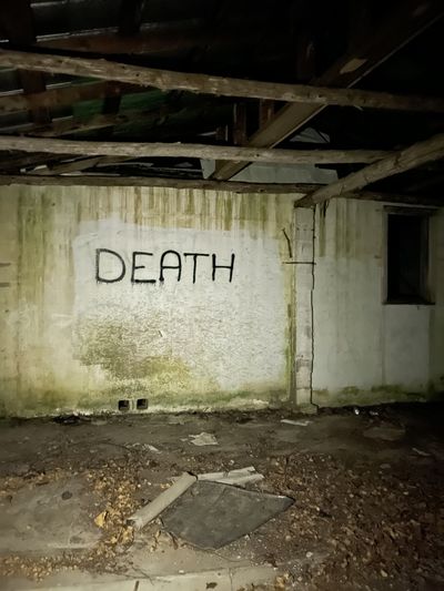 jessie.1551 thumbnail