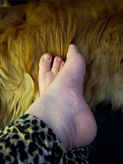 dutchfarmgirl profile