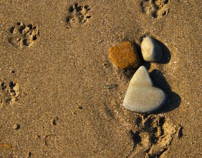 thickqueenrose420 profile