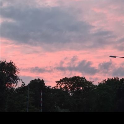 paninihead17 thumbnail