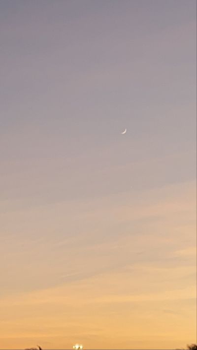 Eroticaella thumbnail