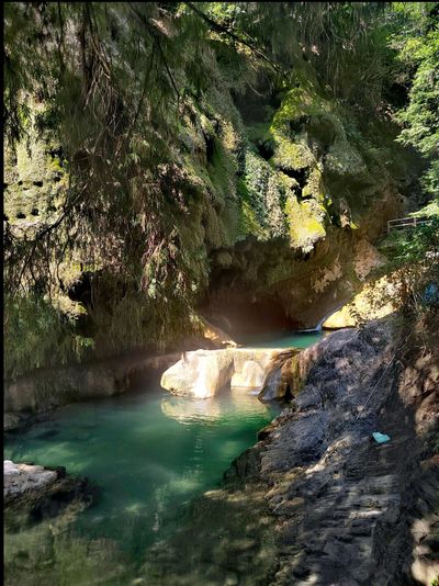 miagarcia9 thumbnail