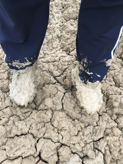 muddysideup thumbnail