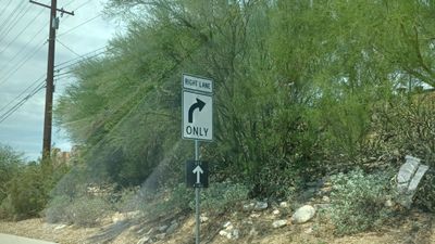 Gwenevieve thumbnail