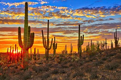 Missy Fontaine thumbnail