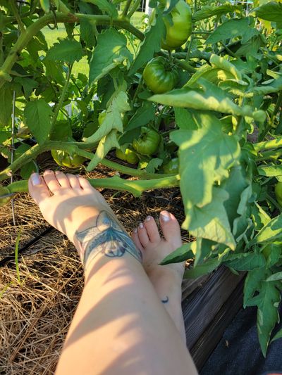 barefootinthegarden thumbnail