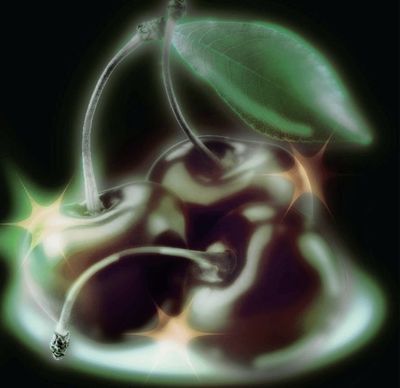 taybreedawn thumbnail