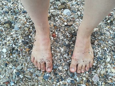 barefoothippytoes profile