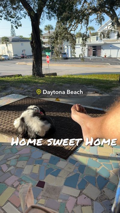 sparktender69 thumbnail