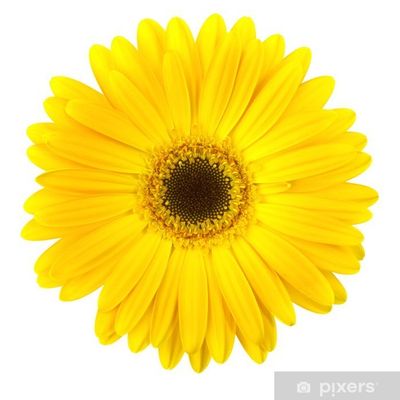 fockingfeet thumbnail