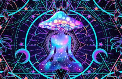 Wills 😉 thumbnail