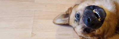 john-doe2k20 thumbnail