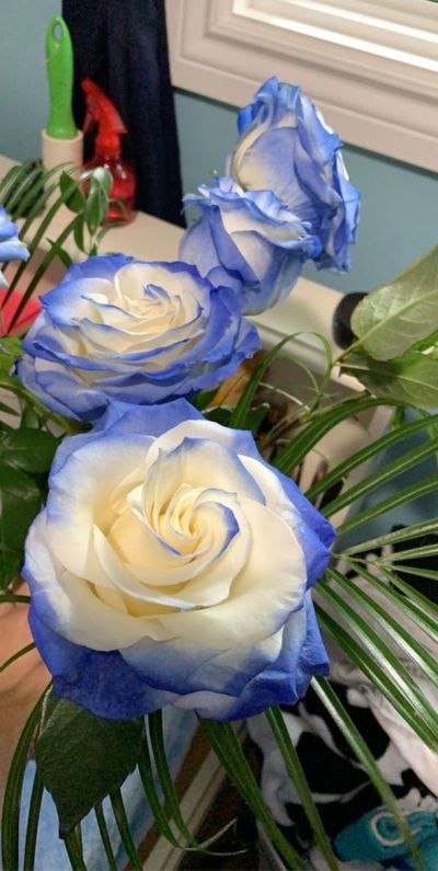 💋Baby girl💋 thumbnail