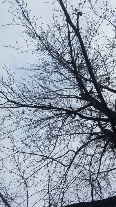 daddys.lil.witch thumbnail