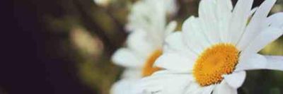 u104510260 thumbnail