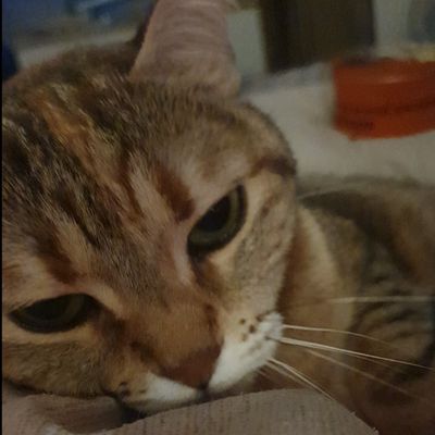 mysteriouscleo thumbnail