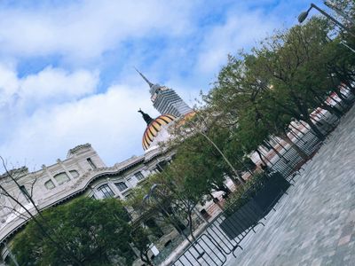 carlos kunn thumbnail