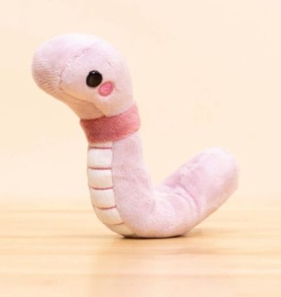 xbabybunny95 profile