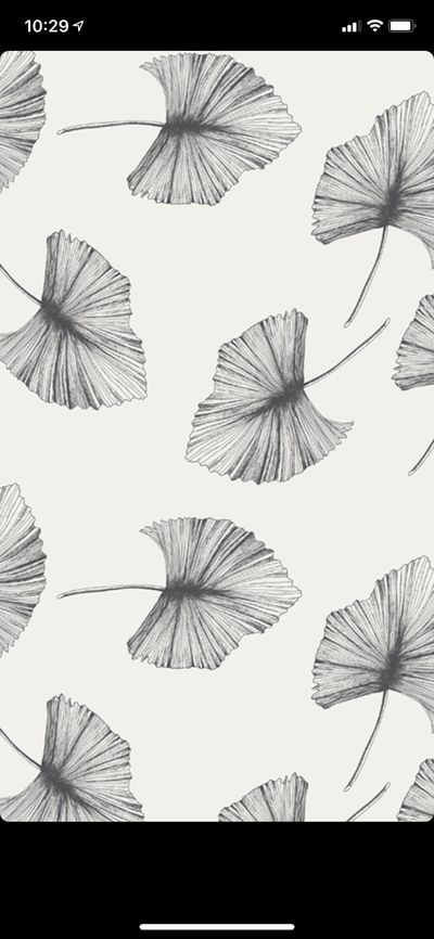 feet_dutchy thumbnail