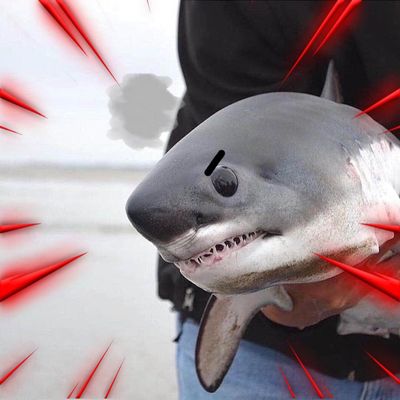 kevin Stamos thumbnail