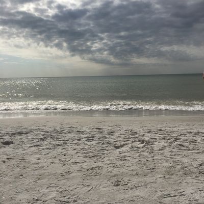 primarches thumbnail