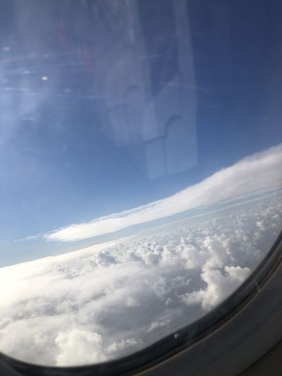 bigbaby.bear thumbnail