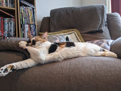 thebabybelleson thumbnail