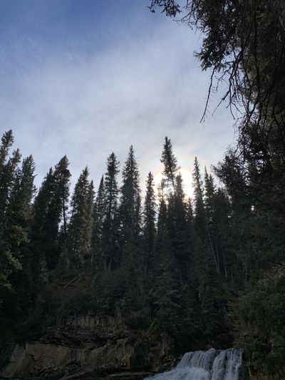 gfsperfume thumbnail