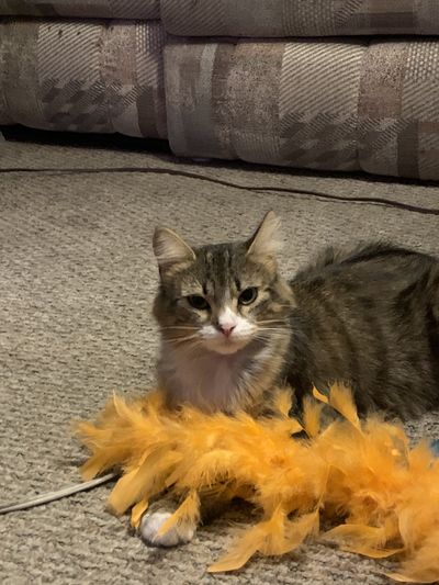 katebrooke95 thumbnail