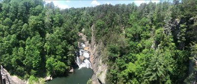 kadephoenix thumbnail